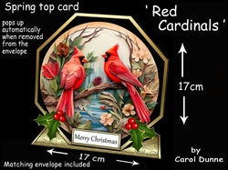 Octagon spring top Red Cardinals