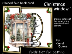 FB Christmas window