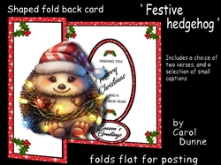 FB Shaped Festive hedgehog