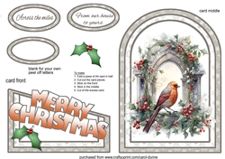 Cutaway Robin window