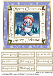 SC Funny snowman