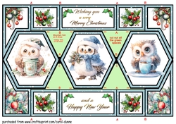 Hexagon shutter Christmas Owls