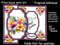 FB Tropical hibiscus