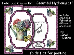 FB Beautiful Hydrangeas