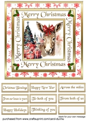 SC Donkey Christmas
