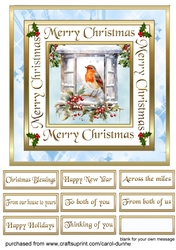 SC Windows with robin