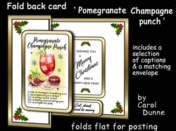 FB Pomegranate Champagne punch