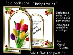 FB Bright tulips