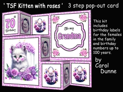 TSF Kitten with roses