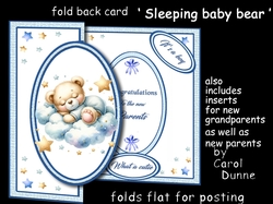 FB Sleeping bear (Blue)