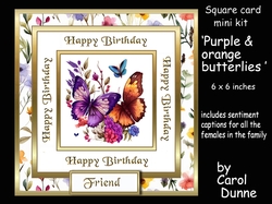 SC purple & orange butterflies