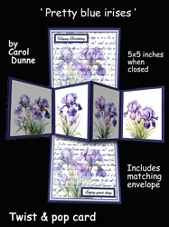 Twist & pop Pretty blue irises