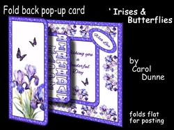 FB Pop-out Irises & butterflies