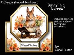 Octagon tent Bunny in a barrow