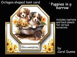 Octagon tent Puppies in a barrow