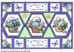 Hexagon shutter Blue hydrangea baskets