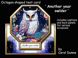 Octagon tent Another year owlder