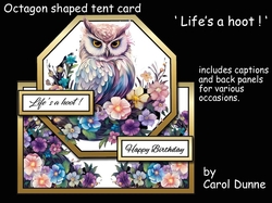 Octagon tent Lifes a hoot