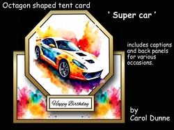 Octagon tent Super car