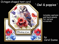 Octagon tent Owl & poppies