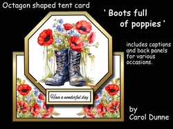Octagon tent Boots full of poppies