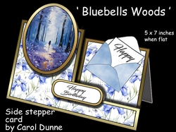 Side stepper Bluebell Woods
