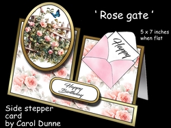 Side stepper Rose gate
