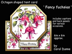 Octagon tent Fancy fuchsias