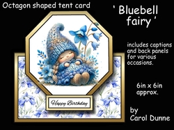 Octagon tent Bluebell fairy