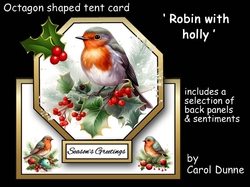 Octagon tent Robin with holly