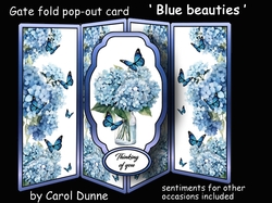 Gate fold pop-out Blue beauties