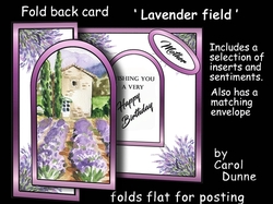Fold back Lavender field