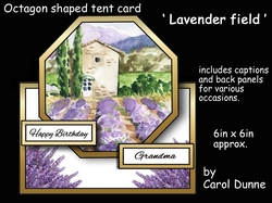 Octagon tent Lavender field