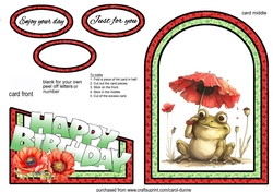 Cutaway Frog & poppy
