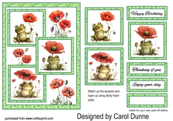 Three squares Frogs & poppies