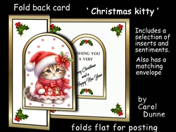 FB Christmas Kitty