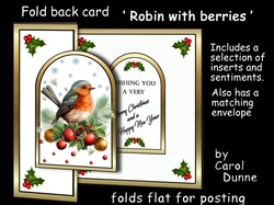 FB Robin and berries