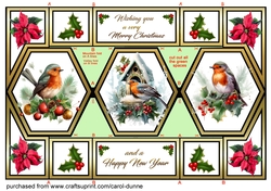 Hexagon shutter Christmas Robins