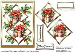 Two squares Poinsettia gift boxes