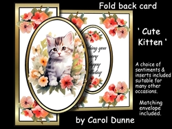 FB Cute kitten
