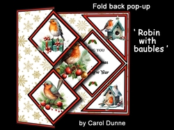 FBS Robin & baubles