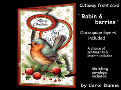 Cutaway front Robin & berries