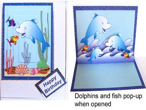 Dolphin Pop-up Kit