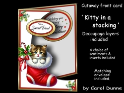 Cutaway Kitty in a stocking