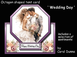 Octagon tent Wedding Day