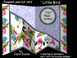 Diagonal pop-out Little Bird
