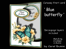 Cutaway Blue butterfly