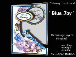 Cutaway Blue Jay