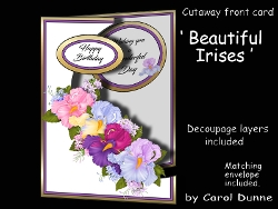 Cutaway Beautiful Irises