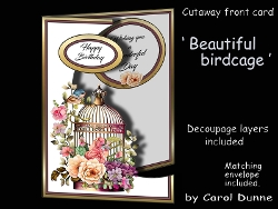 Cutaway Beautiful birdcage